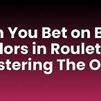 can you bet on both colors in roulette